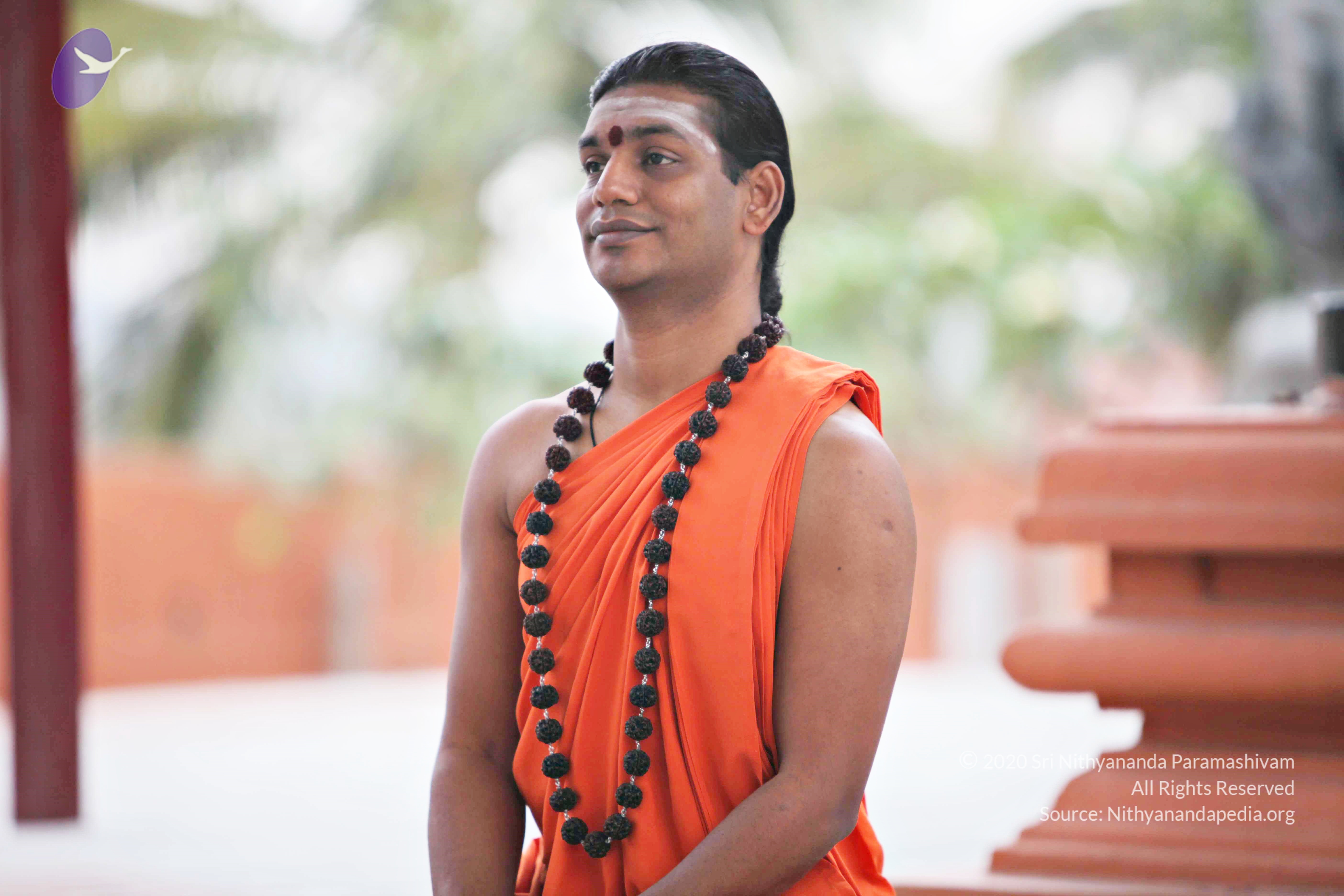 20110225_Photo_1001_IMG_0844_CMP_WM